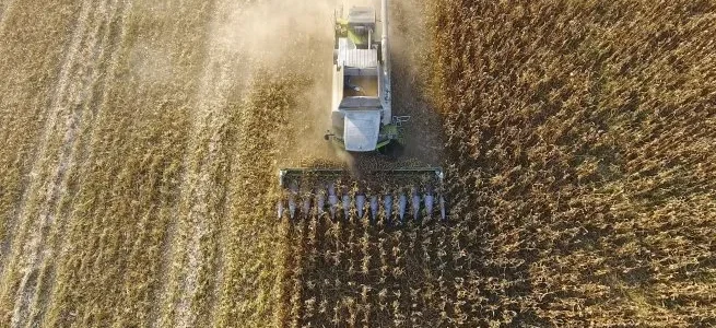 Salida del cepo y baja en las retenciones: la macro podría ayudar al agro el próximo año