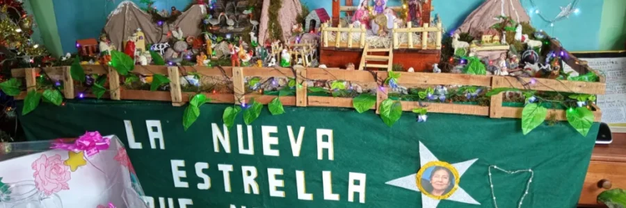 Vecinos de la ciudad se sumaron a la propuesta de armado de pesebres barriales