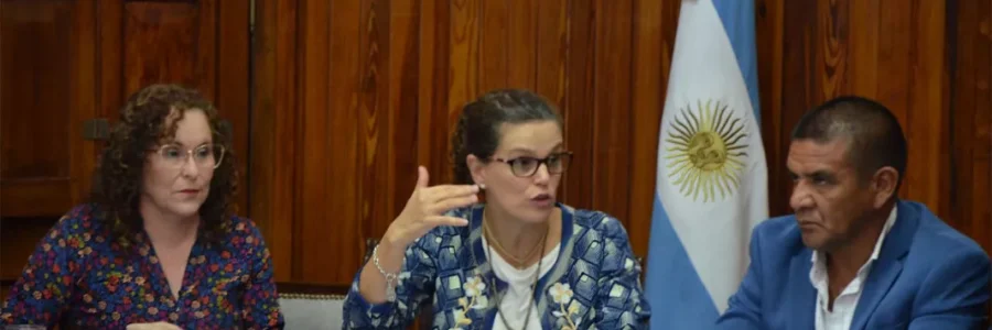 Fiore ante senadores: “Los procesos administrativos docentes no pueden estar sujetos a discrecionalidades”