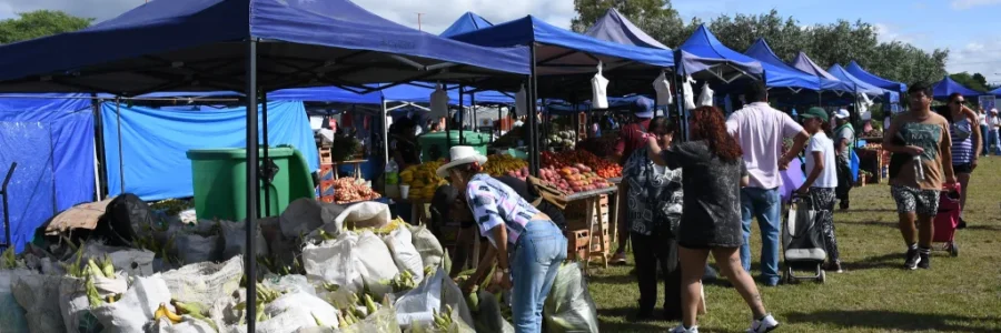 HOY JUEVES 20 “El mercado en tu barrio” estará en la Universidad Nacional de Salta
