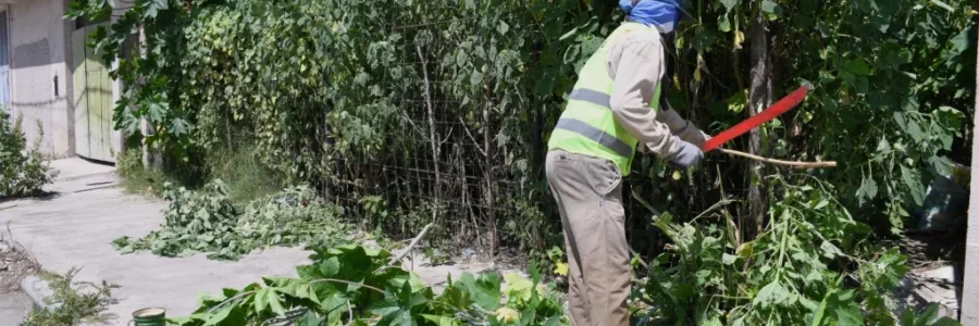 La Municipalidad limpió un baldío en mal estado en el barrio Miguel Ortiz