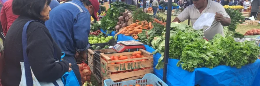 “El mercado en tu barrio”, más de 15 mil vecinos aprovecharon las ofertas
