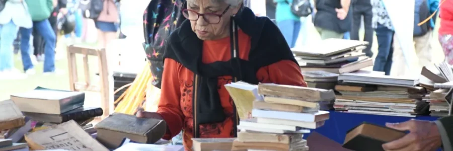 La 4ta edición de la «Suelta de Libros» tuvo más de 5000 participantes