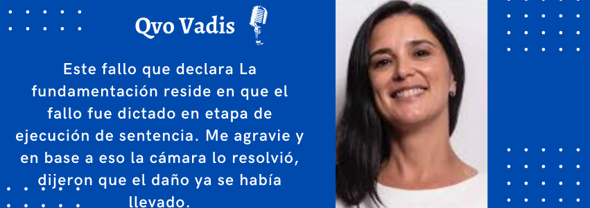 DRA. JULIA TOYOS – ABOGADA DEL CASO PALAVECINO