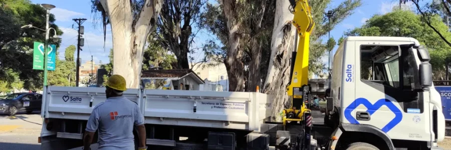 Realizan podas de seguridad en el parque San Martín