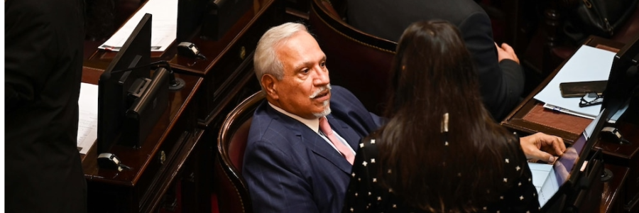 Senado: avanza la creación de un registro para buscar personas desaparecidas y una ley para el Alerta Sofía