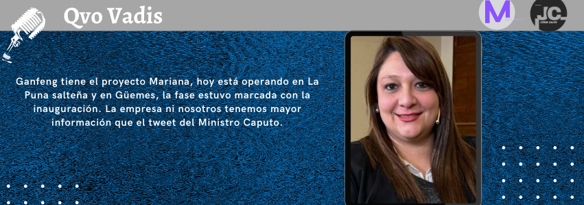 DRA. ROMINA SASSARINI – SECRETARIA DE MINERÍA Y ENERGÍA DE SALTA