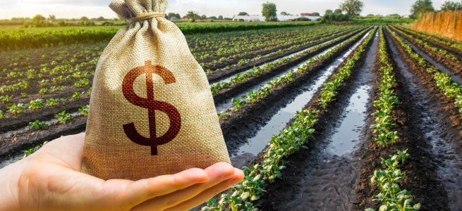 El Gobierno oficializó la baja de retenciones a la soja, maíz, girasol y la carne