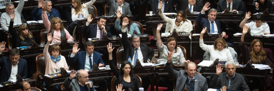 En medio de la crisis en el Garrahan, la oposición aprobó en Diputados la declaración de emergencia en pediatría
