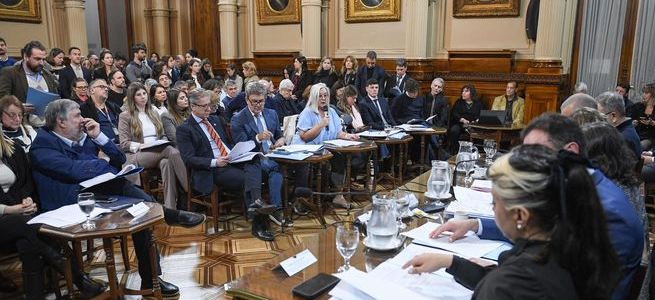 Senado: la oposición continúa su marcha y consiguió dictámenes por la emergencia en el Garrahan y la ley de Financiamiento Universitario