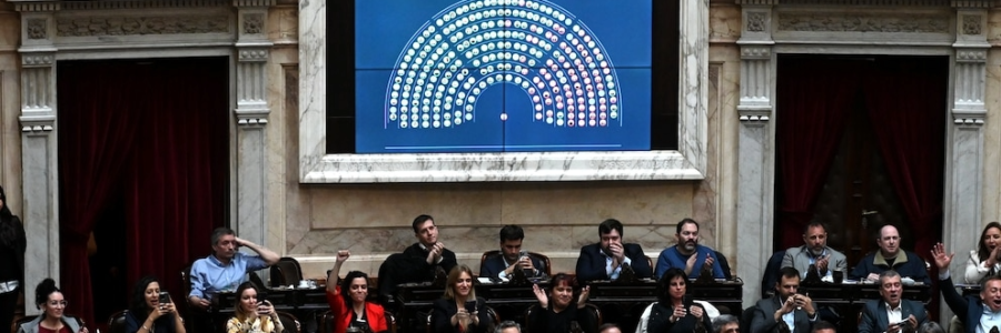 La oposición logró rechazar el veto de Milei a la ley de emergencia en discapacidad en Diputados