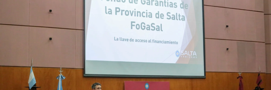 El Senado le dio sanción definitiva al FOGASAL: “Es un acto de fe en nuestra gente”