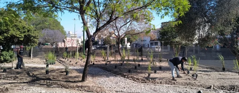 Ejecutan obras de recuperación de espacios verdes en la avenida San Martín