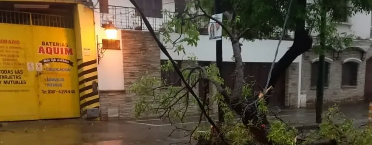 La Municipalidad intervino en más de 30 incidentes tras la tormenta
