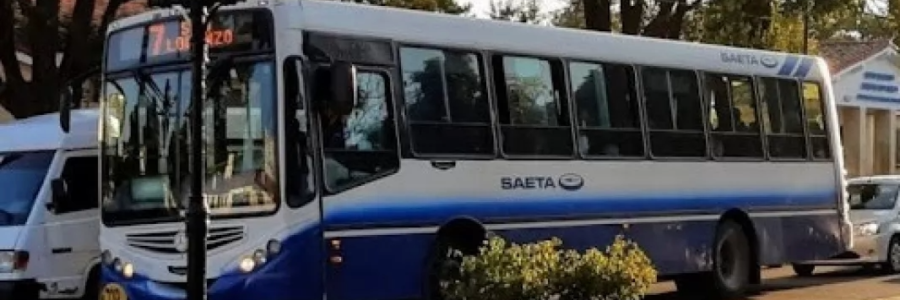 Este domingo será gratuito el pasaje en colectivos