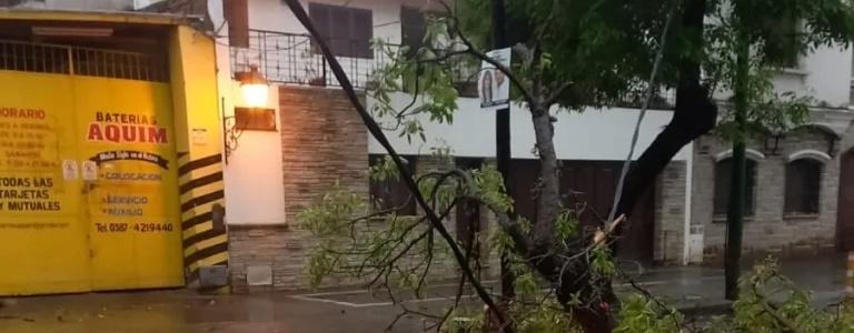 La Municipalidad intervino en 46 incidentes causados por la lluvia y el viento 