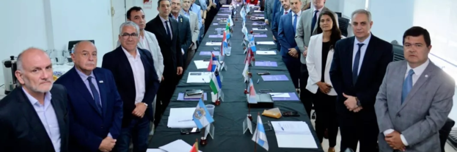 Salta participó en el Consejo de Seguridad Interior