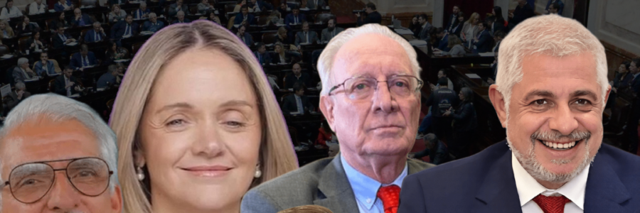 Presupuesto 2026: el voto de los diputados salteños y el debate por la posible eliminación de dos leyes clave