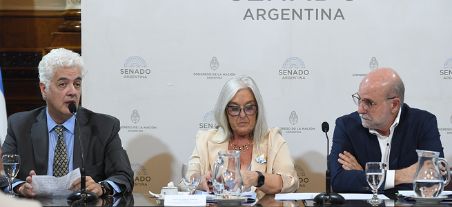 Senado aprobó dictamen para adecuar la ley de Glaciares y el debate pasó al 10 de febrero