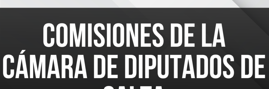 COMISIONES DE LA CÁMARA DE DIPUTADOS DE SALTA