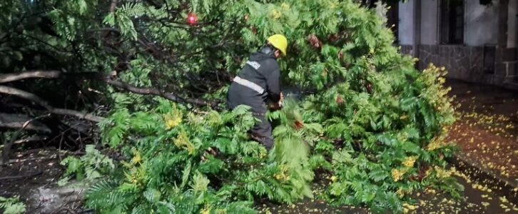 La Municipalidad intervino en 20 incidentes ocasionados por la tormenta