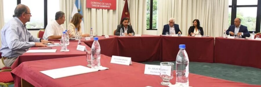 Gustavo Sáenz con legisladores nacionales: defensa de los recursos de Salta ante la reforma laboral y fondos para obras federales