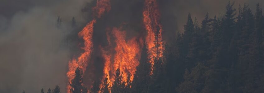 Incendios en la Patagonia: tras el pedido de los gobernadores, el Gobierno transferirá $ 100.000 millones a los Bomberos Voluntarios