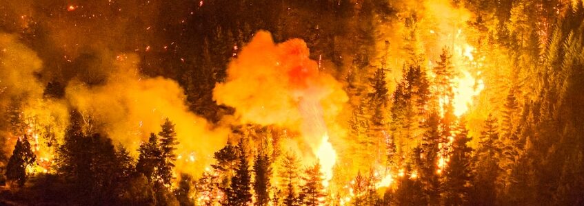 Tras el pedido opositor, el Gobierno declaró por DNU la Emergencia Ígnea para las provincias afectadas por los incendios