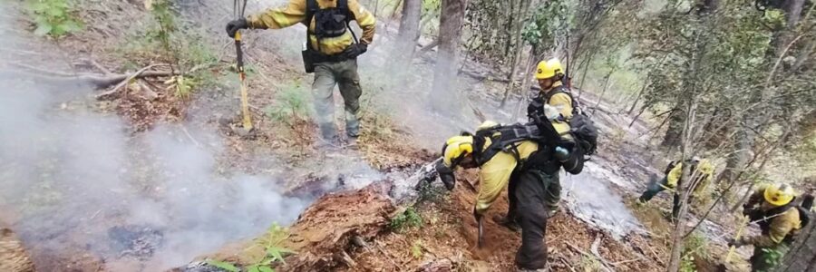 Brigadistas salteños prosiguen con los operativos de sofocación de incendios forestales en Chubut
