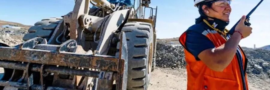 La Plataforma de Oferta y Demanda Laboral Minera ya vinculó a más de 1500 postulantes con empresas