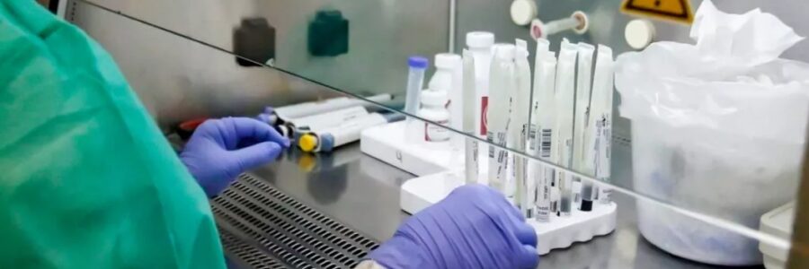 En Salta no se confirmaron casos de la variante K del virus Influenza A