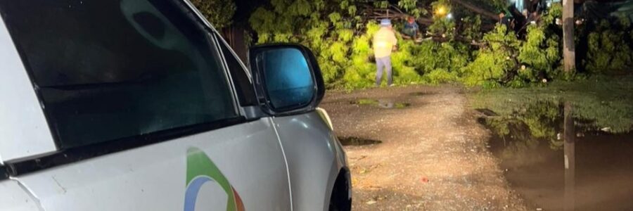 Cerrillos desplegó operativos de control y asistencia por las lluvias