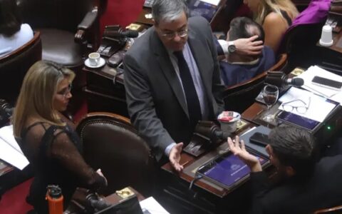 Con apoyos oficialistas y opositores, Diputados dio media sanción al acuerdo Mercosur-Unión Europea