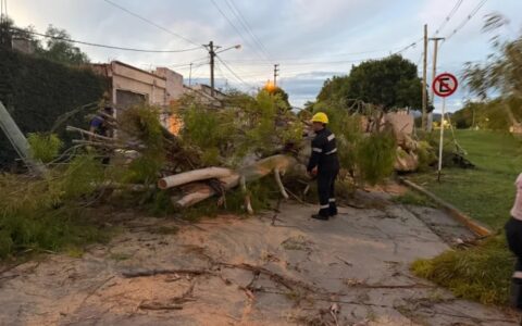 La Municipalidad intervino ayer en 54 incidentes por la lluvia