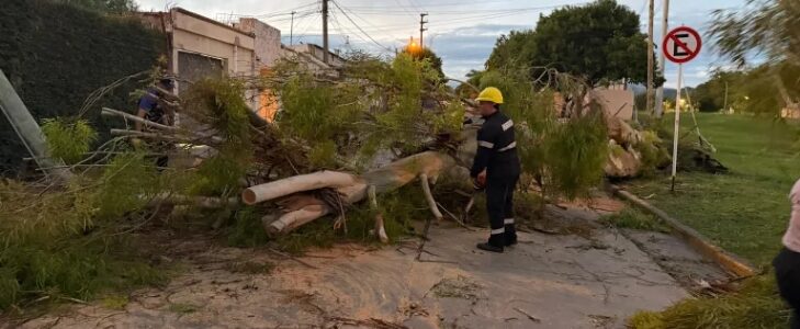 La Municipalidad intervino ayer en 54 incidentes por la lluvia