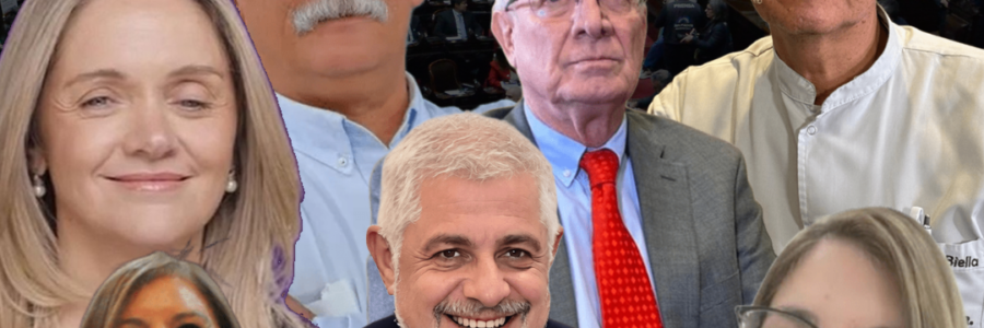 Los diputados salteños votaron en bloque a favor de la reforma laboral