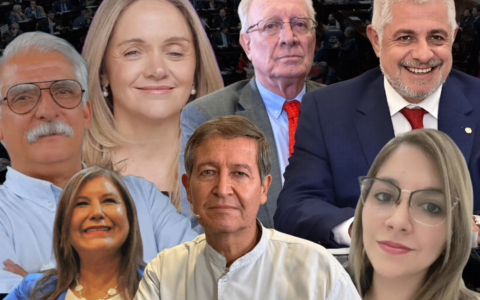 Diputados salteños votaron en bloque la baja de la edad de imputabilidad