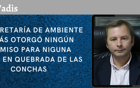 NORMANDO ZUÑIGA – SUBSECRETARIO DE GESTIÓN AMBIENTAL