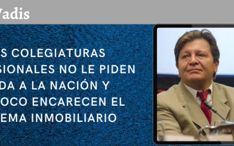 JUAN MARTIN BIELLA – PTE. DE LA CÁMARA INMOBILIARIA DE SALTA Y DEL COL. DE CORREDORES INMOBILIARIOS
