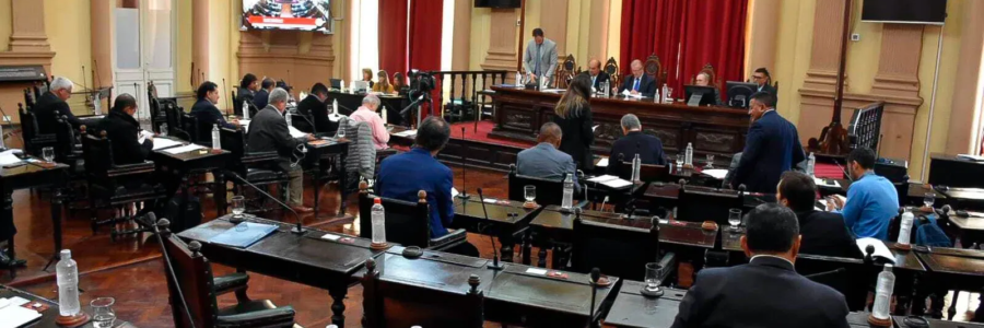 El Senado salteño convocará a legisladores nacionales para frenar el ajuste en discapacidad
