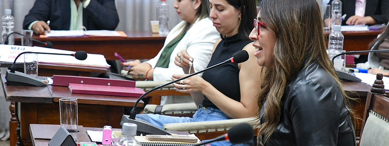 Aprueban normas sobre medio ambiente y tránsito en la ciudad de Salta