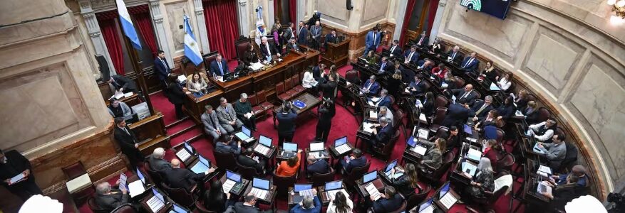 El Senado sancionó la prórroga del programa de entrega de armas