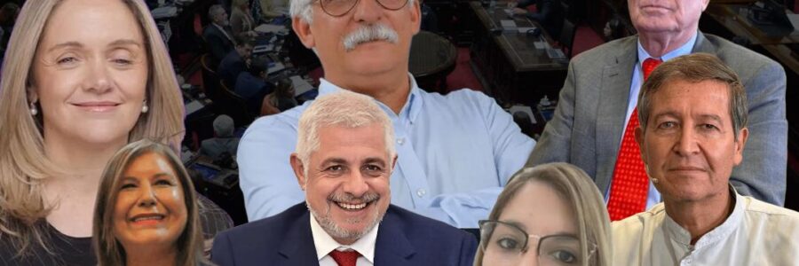 Zonas frías y Ley Hojarasca: cómo votaron los salteños y qué negoció Sáenz para acompañar