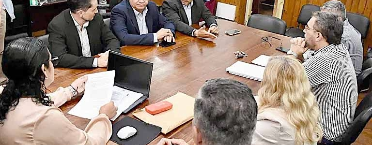 La Bicameral revisó el informe sobre el Fondo de Reparación Histórica y planteó observaciones al auditor