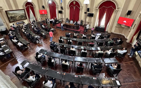 Diputados provinciales respaldaron el reclamo de Sáenz y pidieron garantizar el suministro de gas