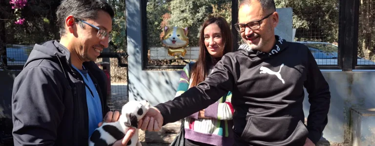 Con la campaña mundialista ya se lograron concretar nueve adopciones de perros