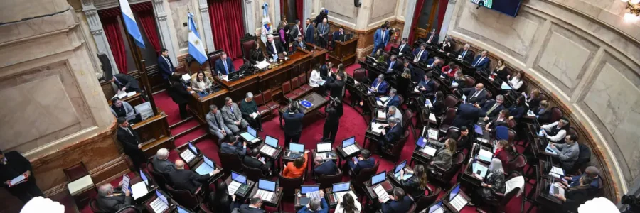 El Senado sancionó la prórroga del programa de entrega de armas