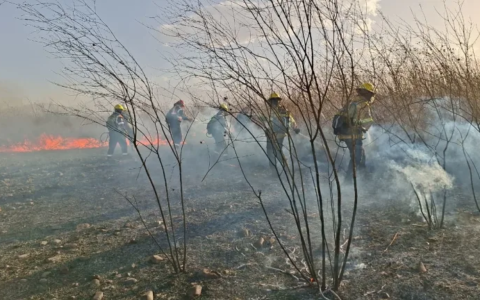 Personal de Protección Ciudadana intervino para sofocar un incendio en zona sur