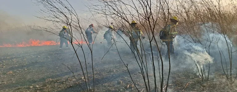 Personal de Protección Ciudadana intervino para sofocar un incendio en zona sur