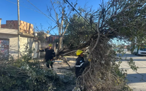 La Municipalidad intervino en 135 incidentes por el viento y el fuego